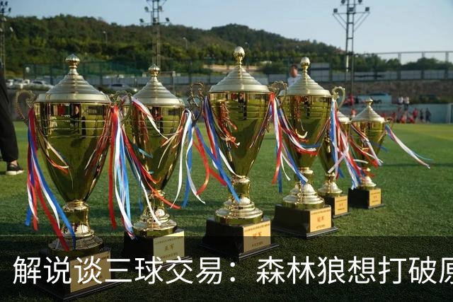 解说谈三球交易：森林狼想打破原有结构去拼更高上限 这可以理解
